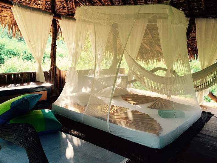 Banyan Camp 6