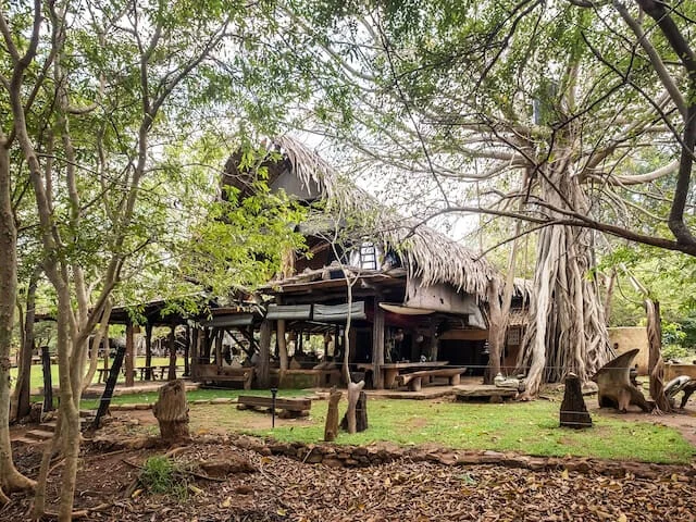 Banyan Camp 1
