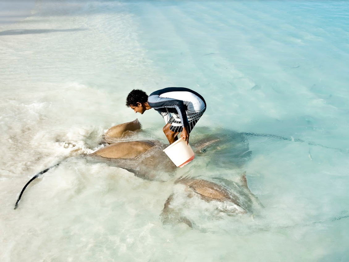 Banyan Tree Vabbinfaru 11