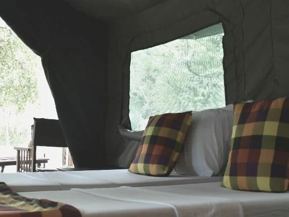 Big Game Camp - Wilpattu 1