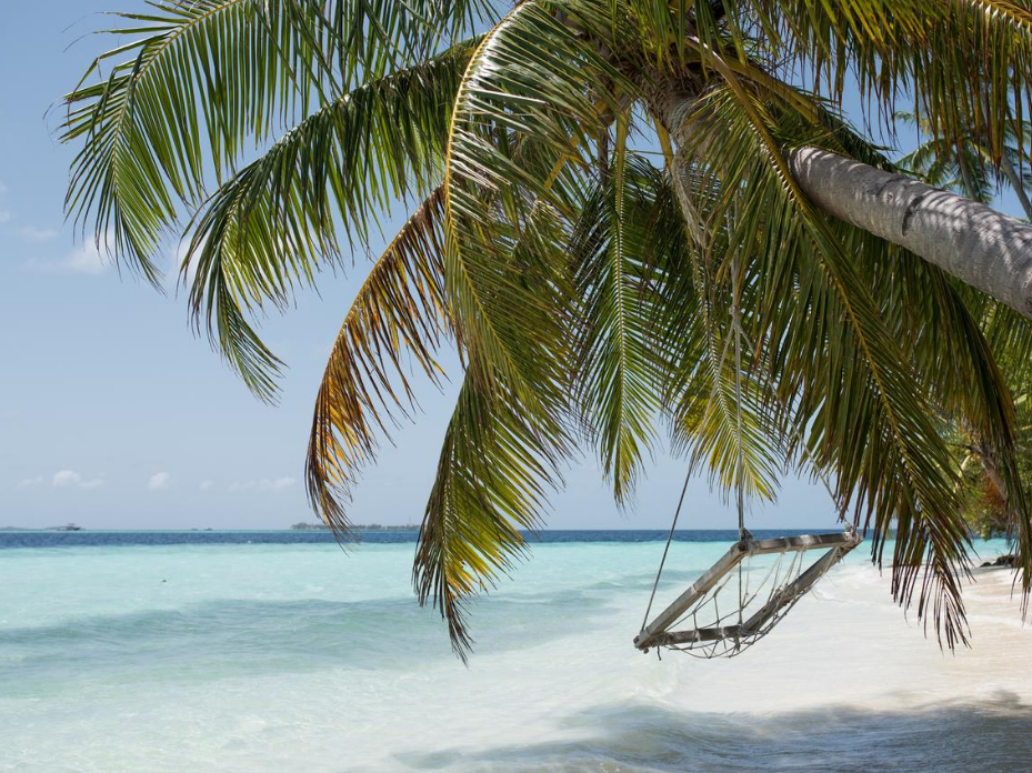 Biyadhoo Island Resort 4