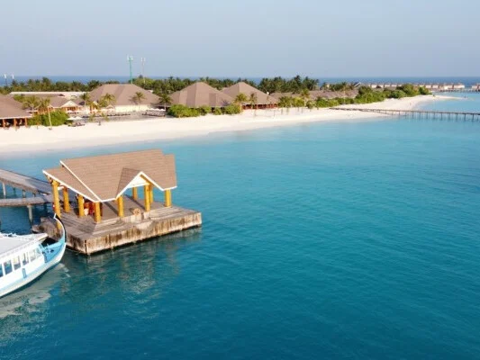 Brennia Kottefaru 23