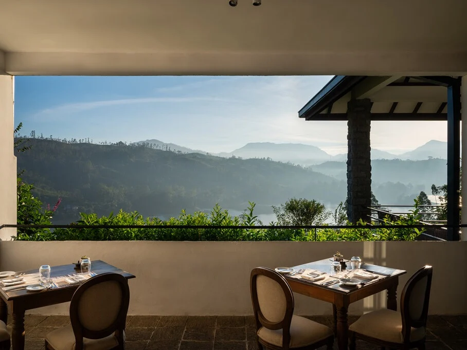 Camellia Hills 13