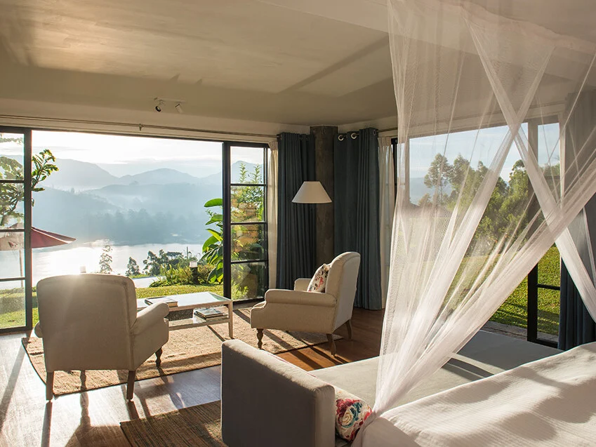 Camellia Hills 21