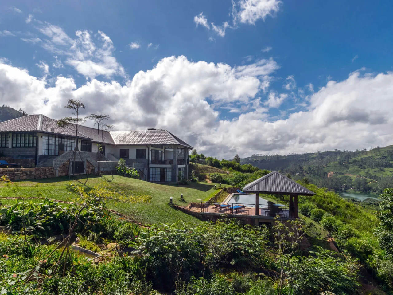 Camellia Hills 3