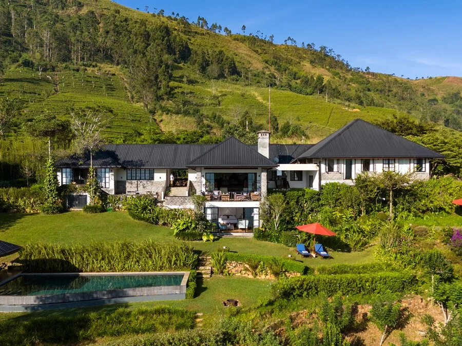 Camellia Hills 12