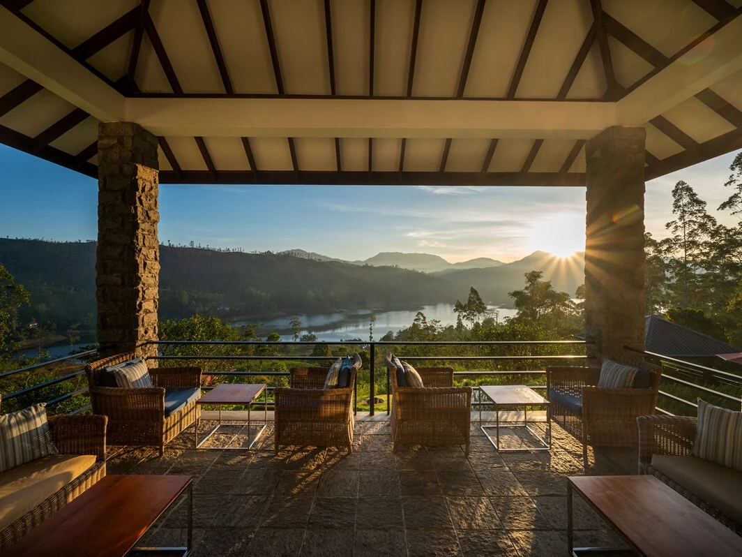 Camellia Hills 16