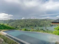 Camellia Hills 20