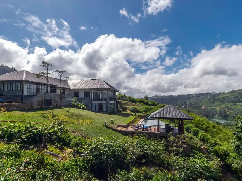 Camellia Hills, photo 6
