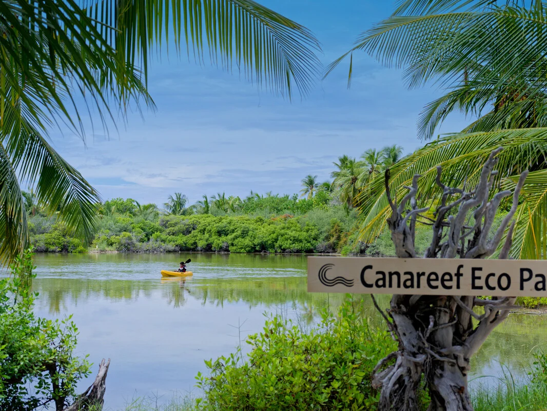 Canareef Resort Maldives 6