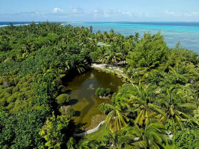 Canareef Resort Maldives، الصورة 6