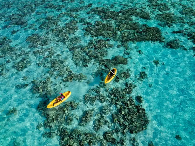 صورة: Canareef Resort Maldives