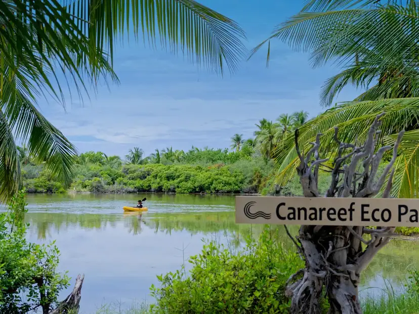 صورة: Canareef Resort Maldives