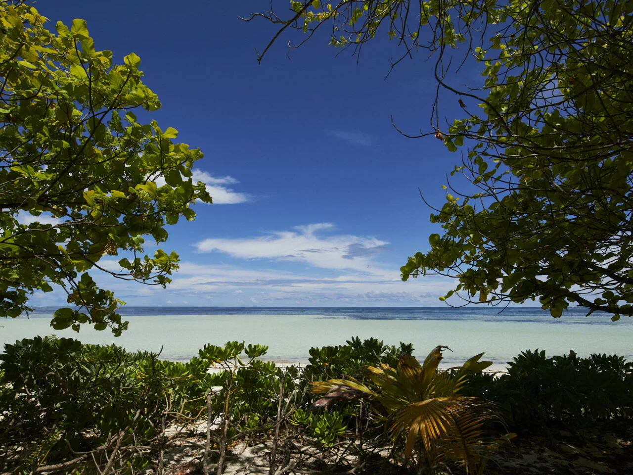 Canopy By Hilton Seychelles 27