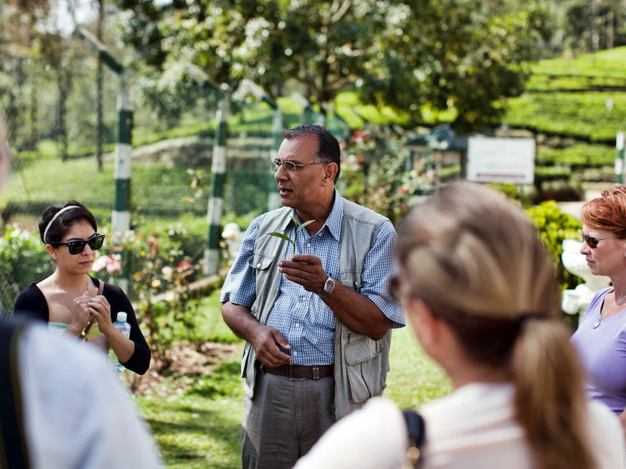 Ceylon Tea Trails 12