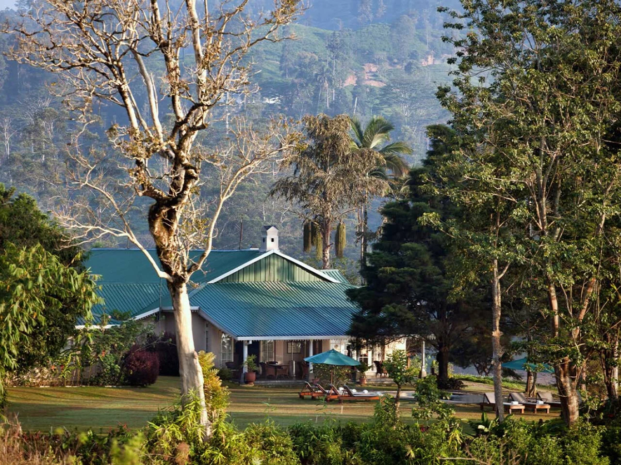 Ceylon Tea Trails 9