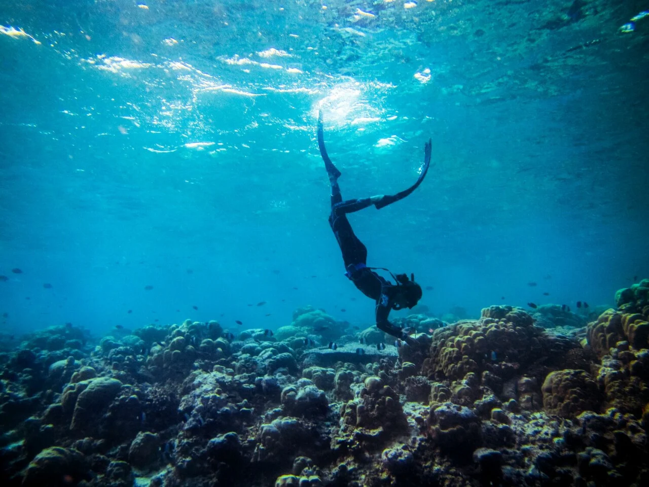 Cheval Blanc Randheli 21