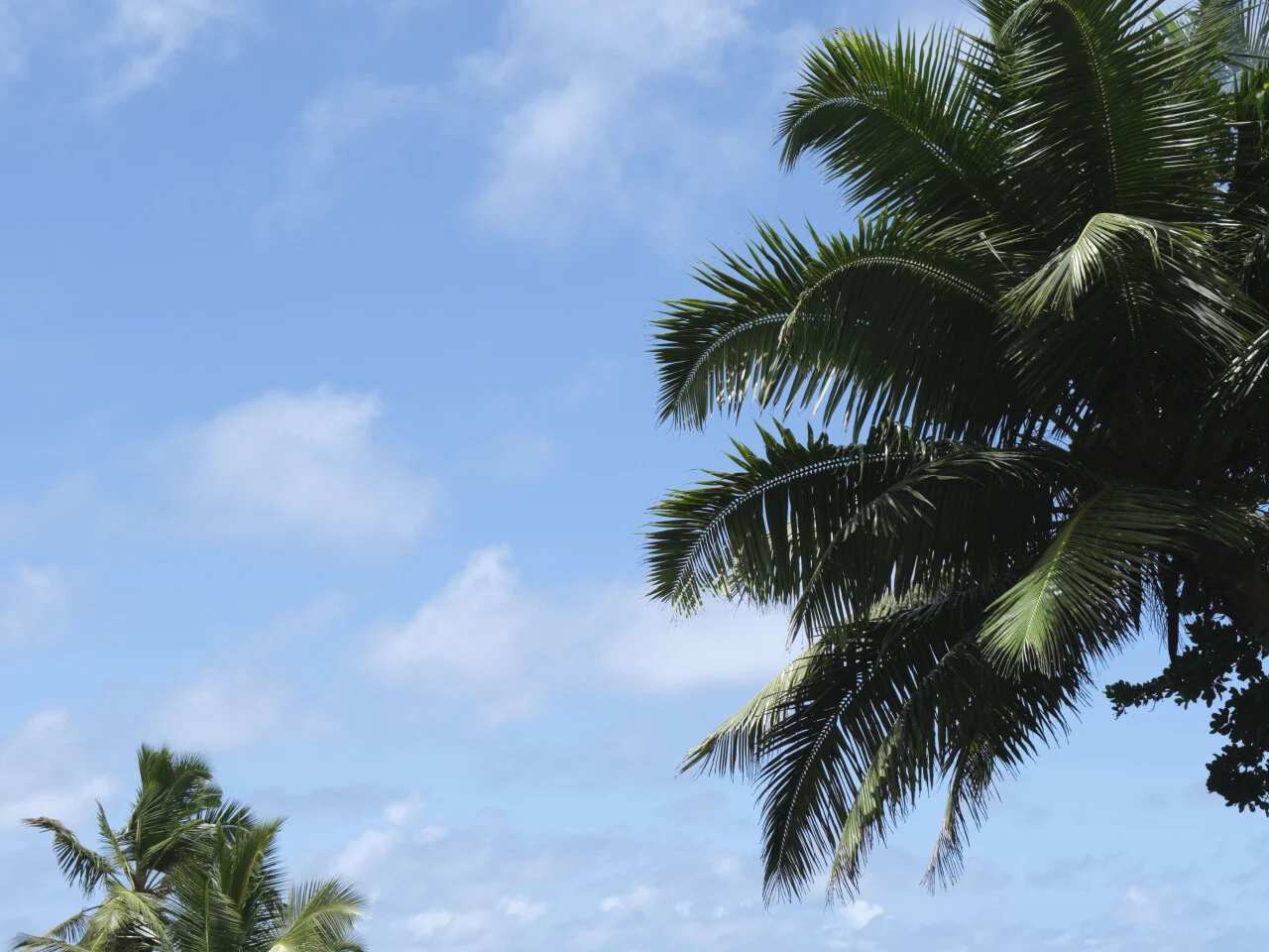 Cheval Blanc Seychelles 9