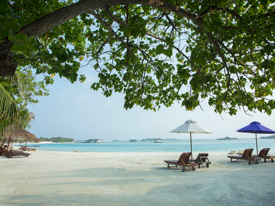 Cinnamon Dhonveli Maldives 9