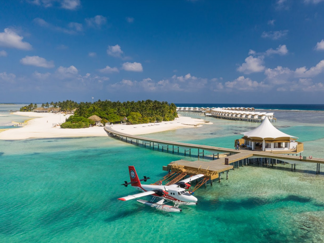 Cinnamon Hakuraa Huraa 5