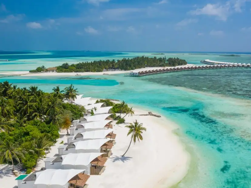 صورة: Cinnamon Hakuraa Huraa