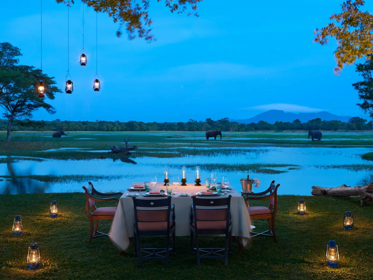 Cinnamon Lodge Habarana 5