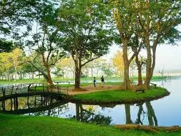 Cinnamon Lodge Habarana 9