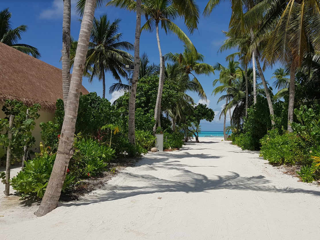 Cinnamon Velifushi Maldives