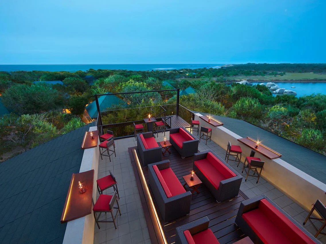 Cinnamon Wild Yala 1