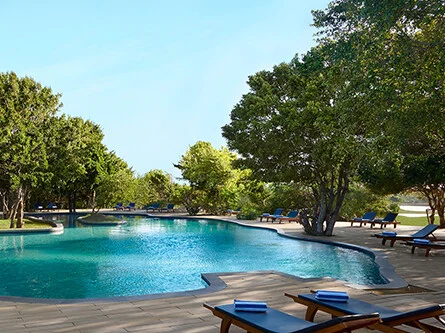 Cinnamon Wild Yala 2