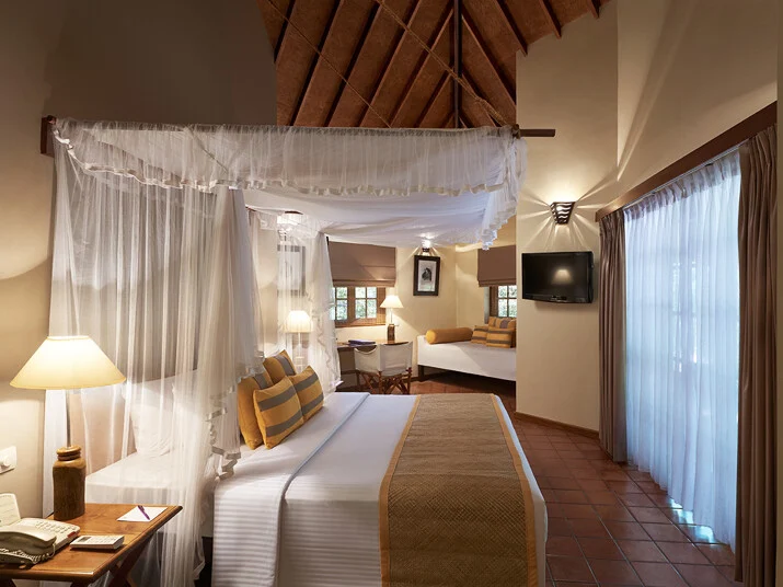 Cinnamon Wild Yala 1