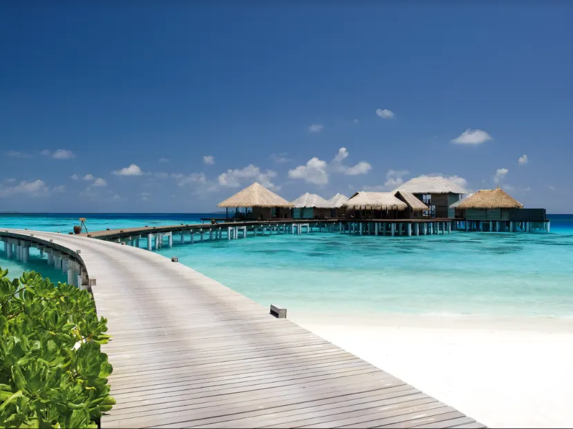 Coco Bodu Hithi
