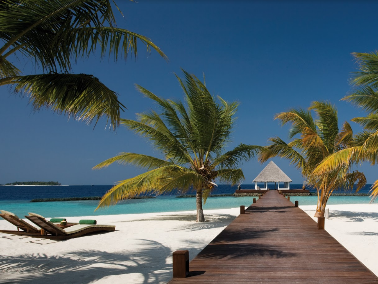 Coco Bodu Hithi 8