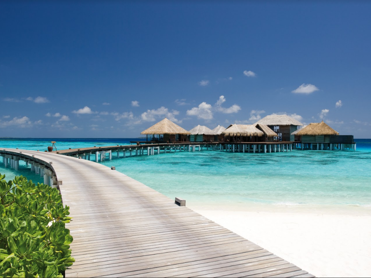 Coco Bodu Hithi 3
