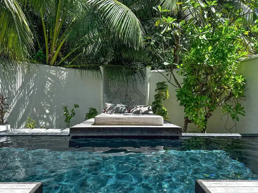 صورة: Coco Bodu Hithi: Beach Villa With Pool