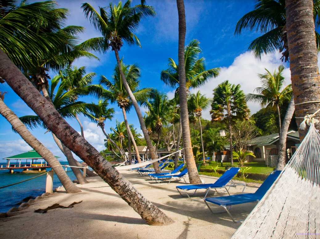 Coco de Mer Hotel & Black Parrot Suites 1