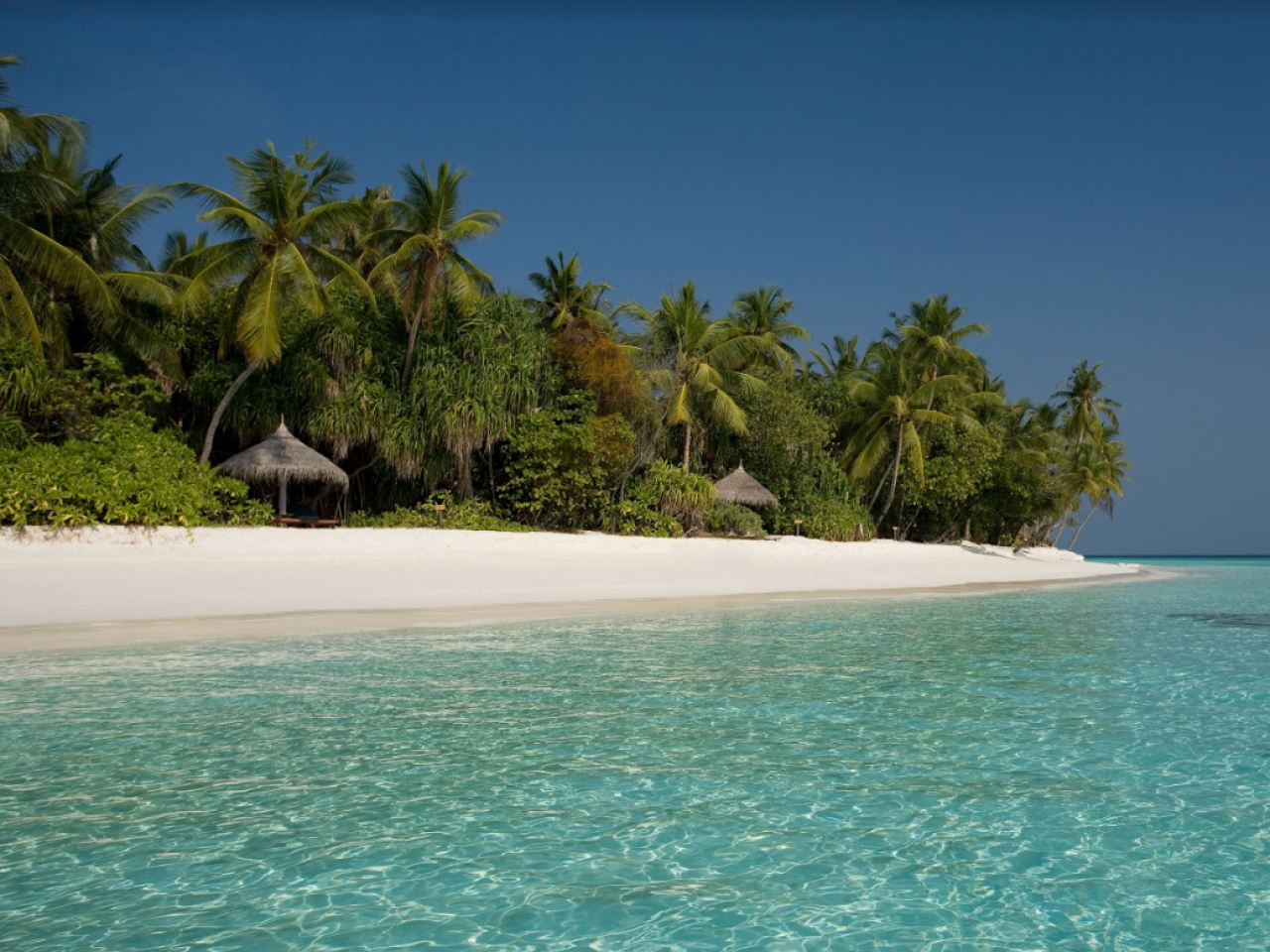 Coco Palm Dhuni Kolhu
