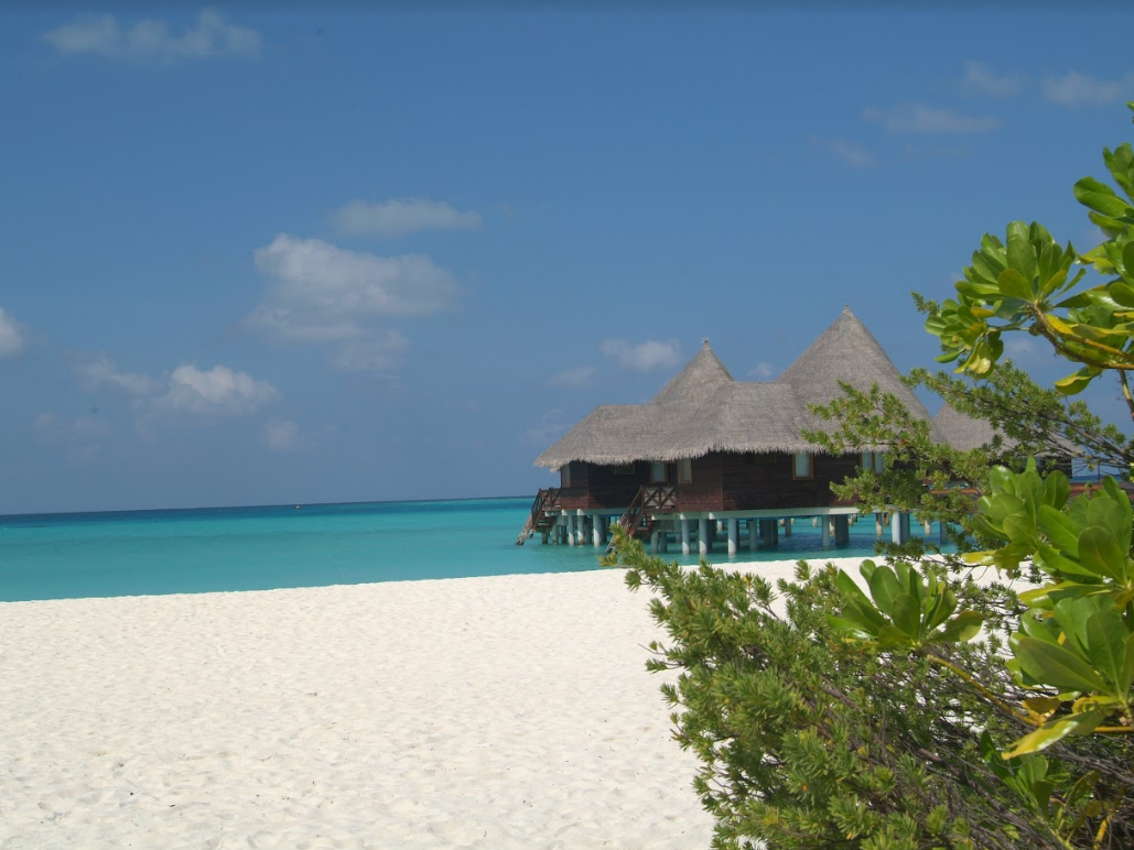 Coco Palm Dhuni Kolhu 7