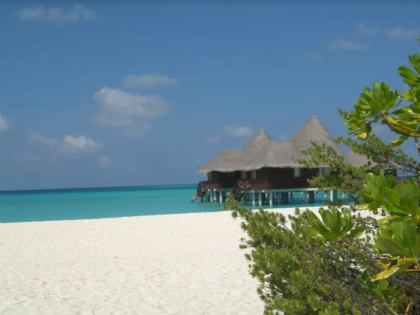صورة: Coco Palm Dhuni Kolhu