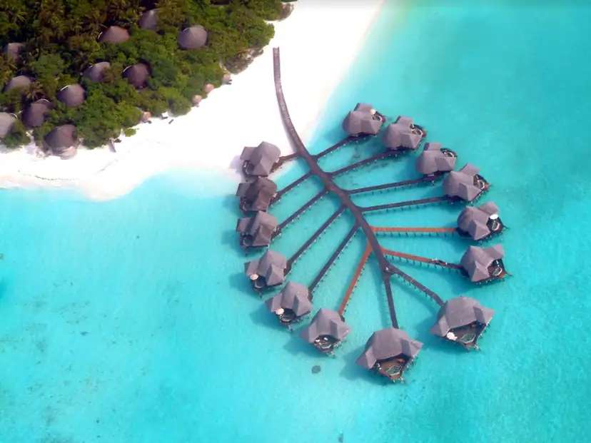 صورة: Coco Palm Dhuni Kolhu