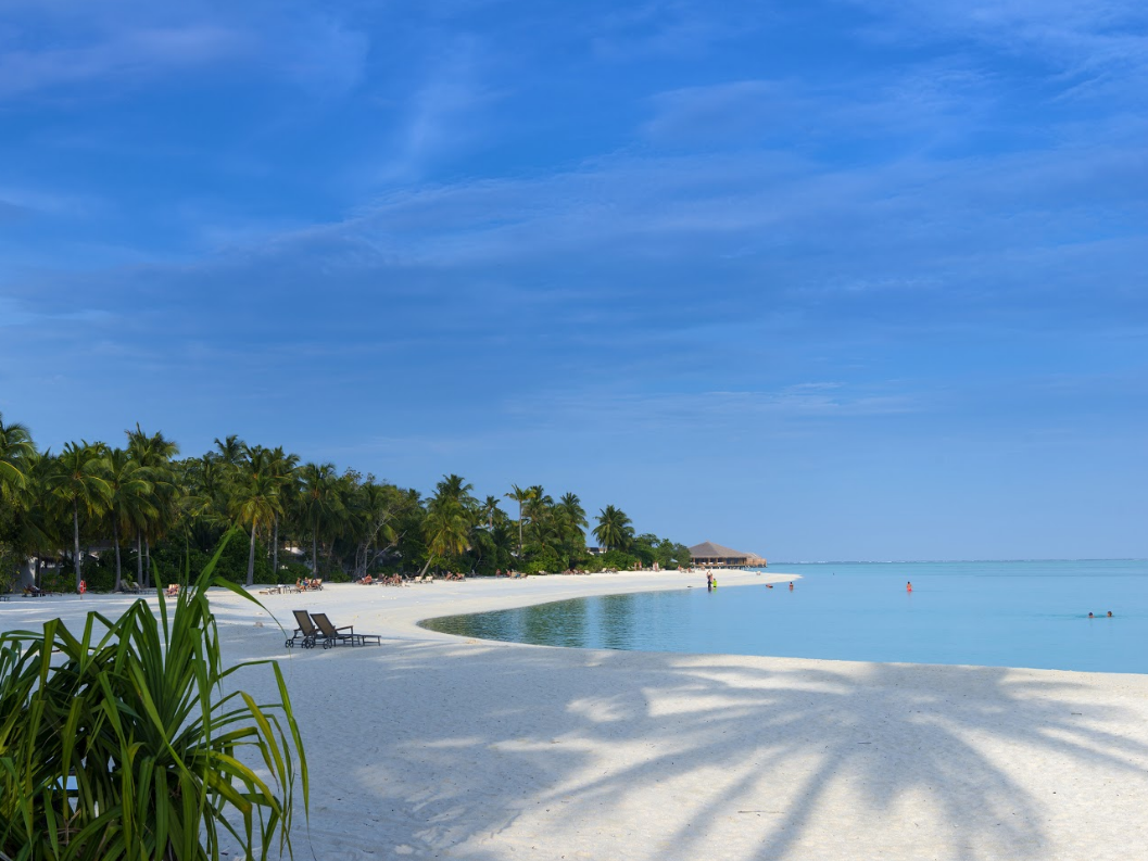 Cocoon Maldives