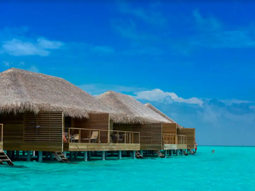 صورة: Cocoon Maldives