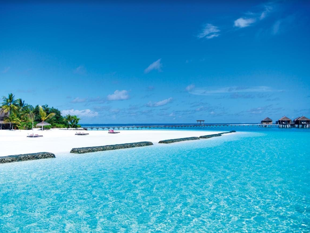 Constance Moofushi 4