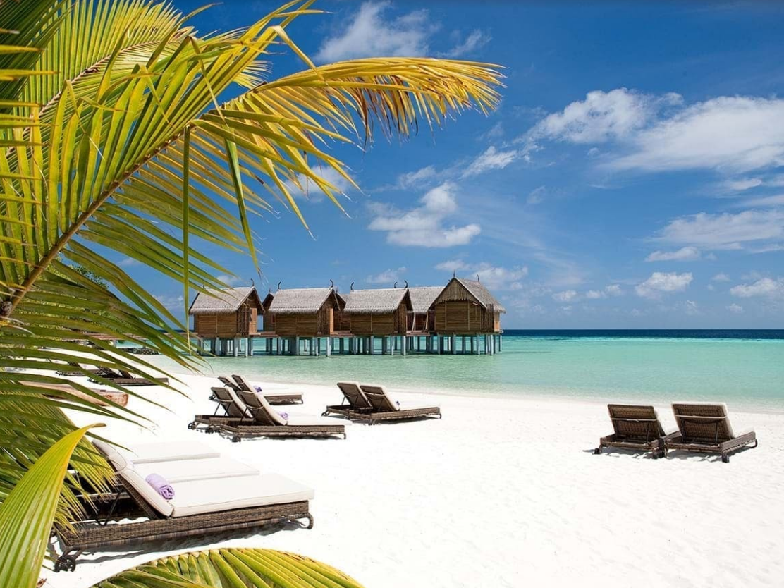 Constance Moofushi 9