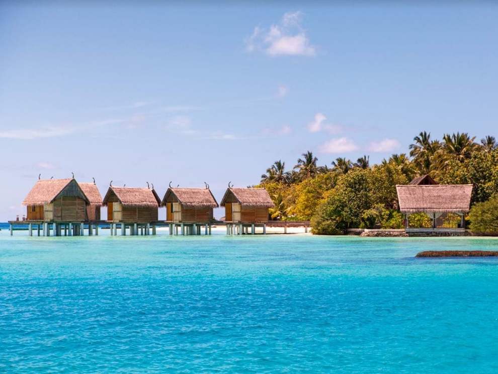 Constance Moofushi 16