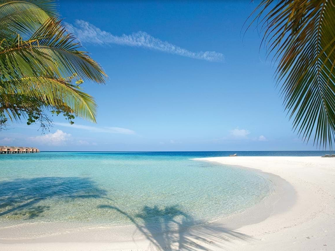 Constance Moofushi 14