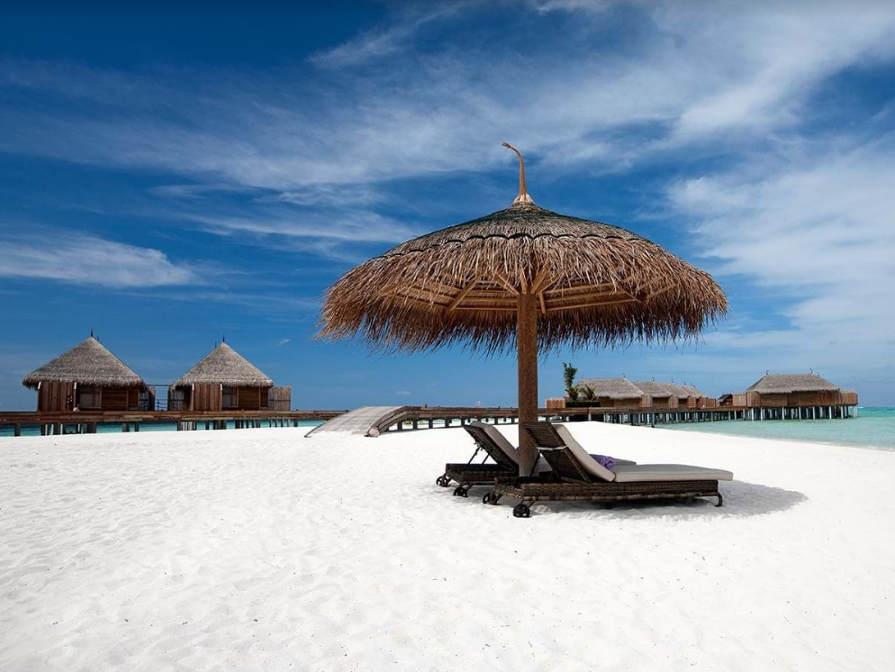 Constance Moofushi 2