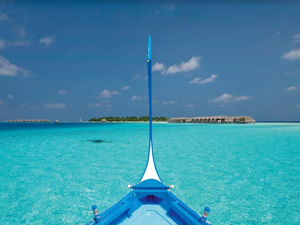 Constance Moofushi 12