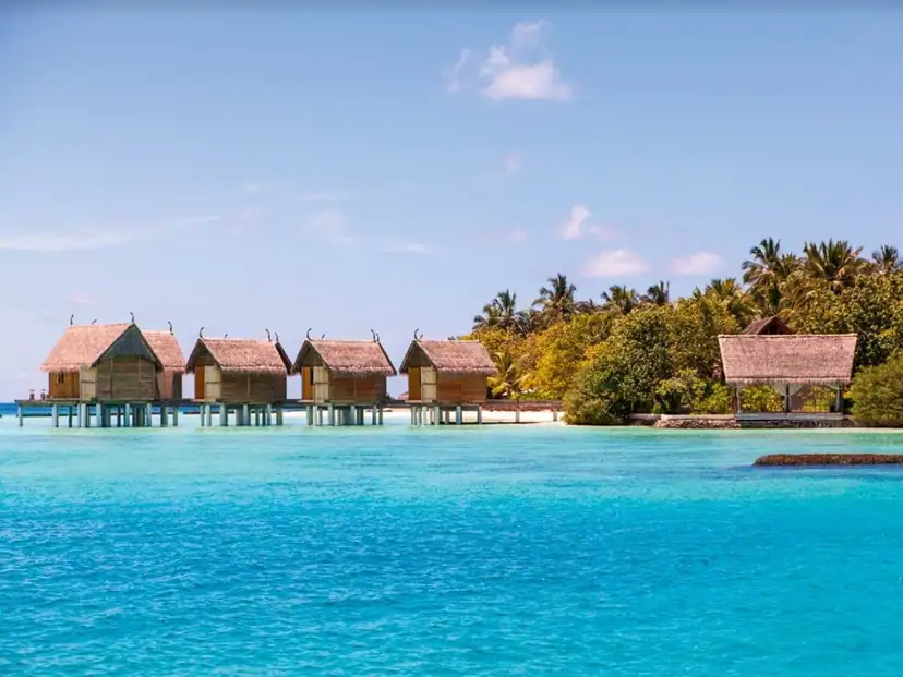 صورة: Constance Moofushi