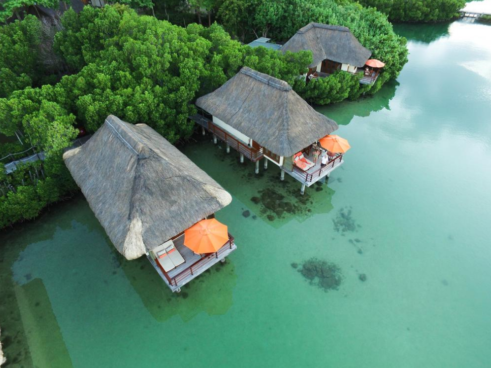 Constance Prince Maurice 3